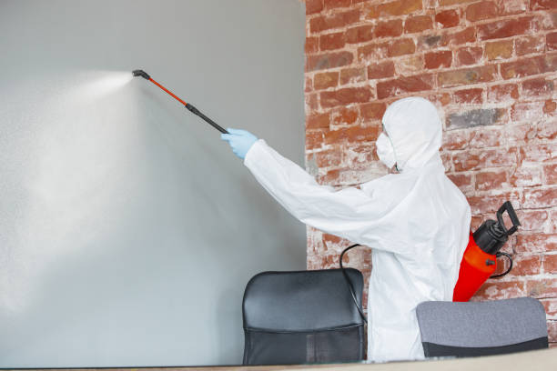 Best Mold Documentation for Insurance Claims  in Millport, AL