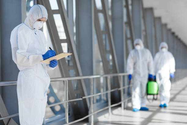 Best Commercial Mold Inspection  in Millport, AL