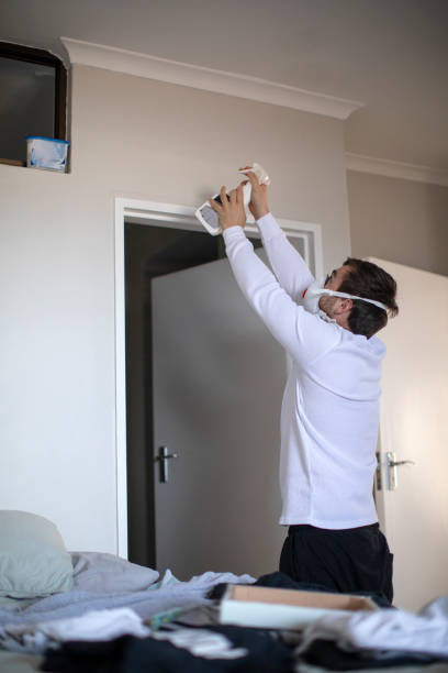 Best Mold Damage Restoration  in Millport, AL