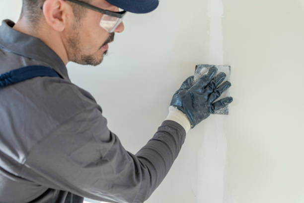 Best Attic Mold Removal  in Millport, AL