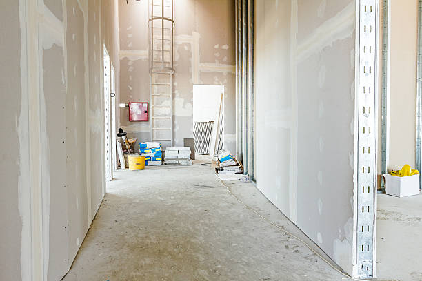 Best Crawl Space Mold Remediation  in Millport, AL
